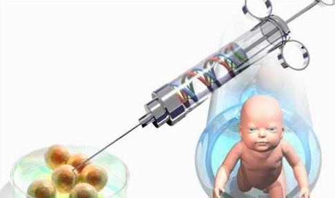 专家